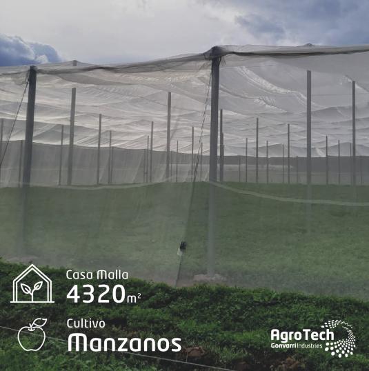 invernadero casa malla fitoplasma